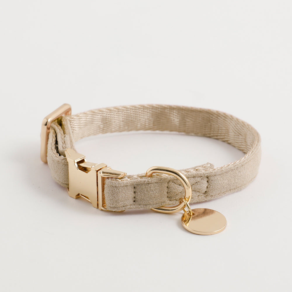 エコスエードカラー＋リードSET【名入れ彫刻対応】