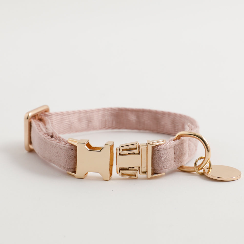 エコスエードカラー＋リードSET【名入れ彫刻対応】