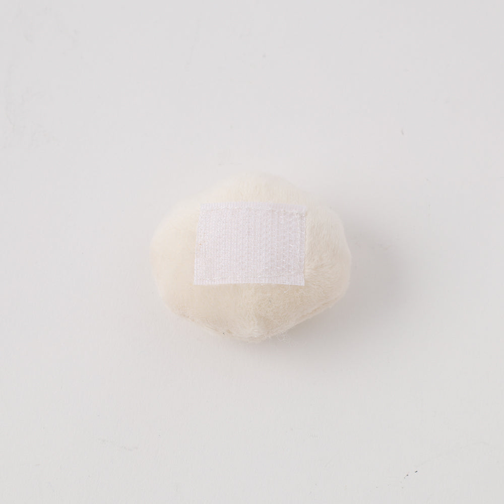 seashell nosework toy