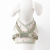 Tulip pattern harness+lead set [Name embroidery compatible] [Old model]