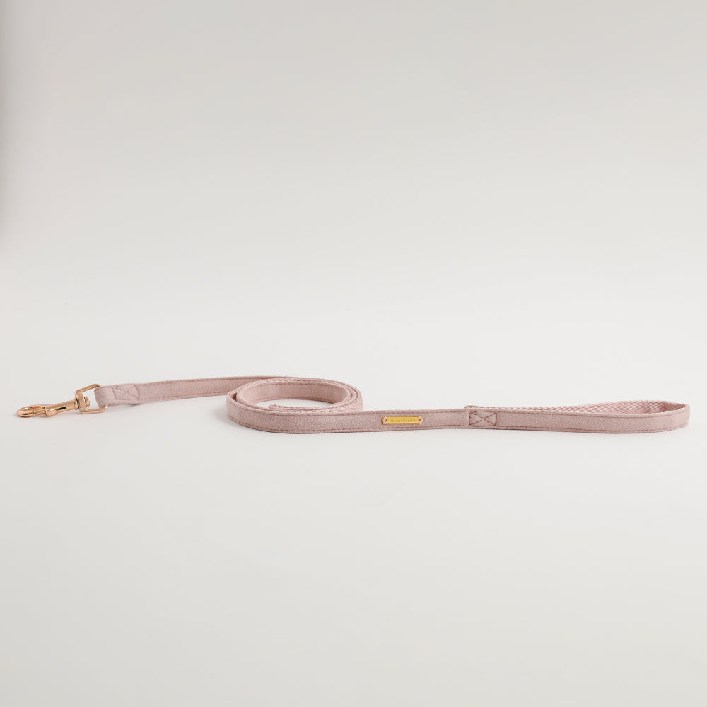 エコスエードカラー＋リードSET【名入れ彫刻対応】