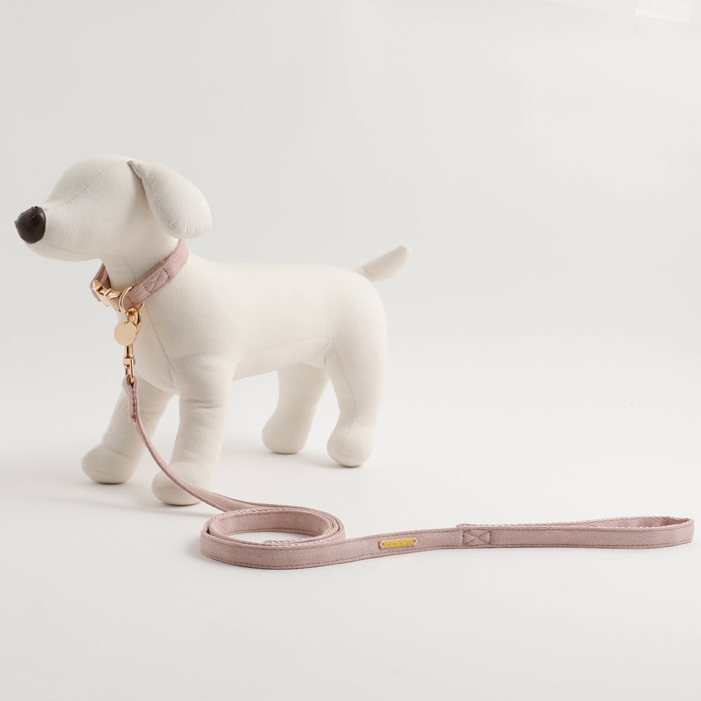 エコスエードカラー＋リードSET【名入れ彫刻対応】