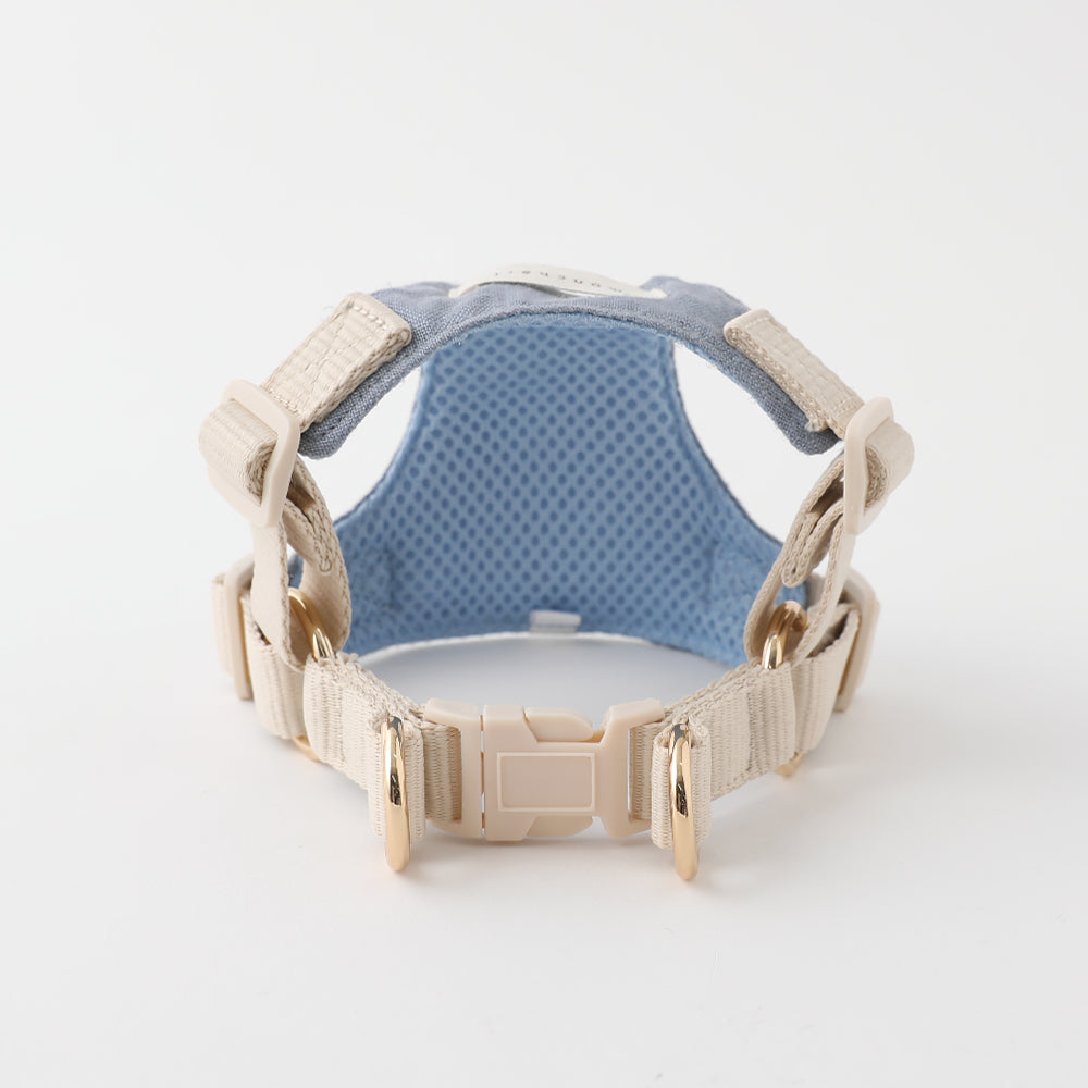 Cool Shell Starfish Pattern Harness + Lead Set [Compatible with name embroidery]