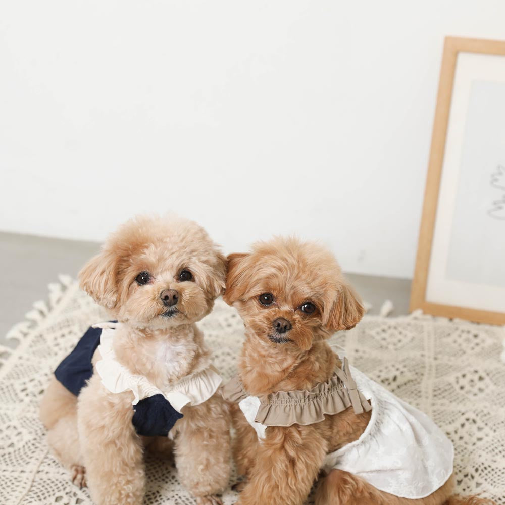 Cool ribbon gathered embroidery dress