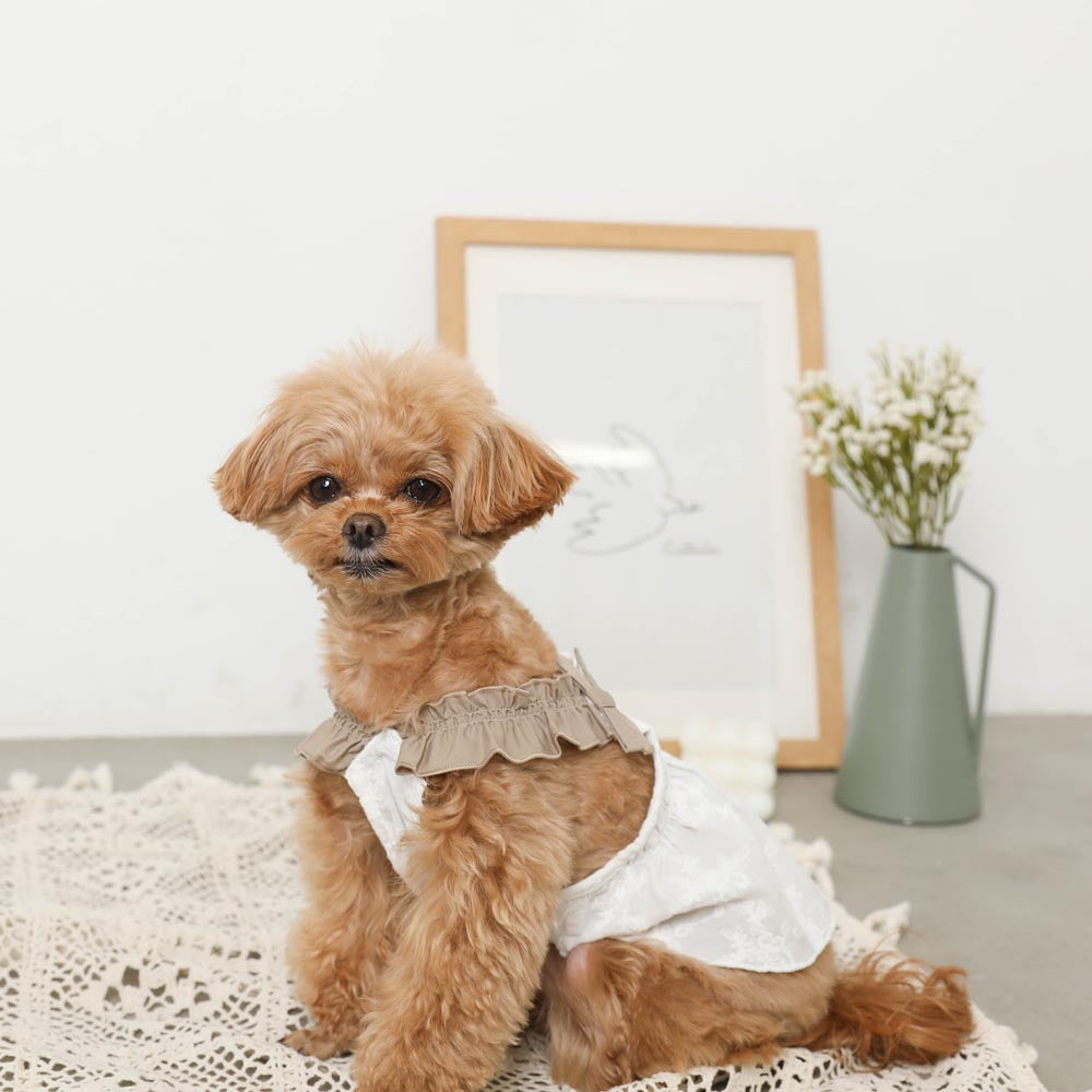 Cool ribbon gathered embroidery dress