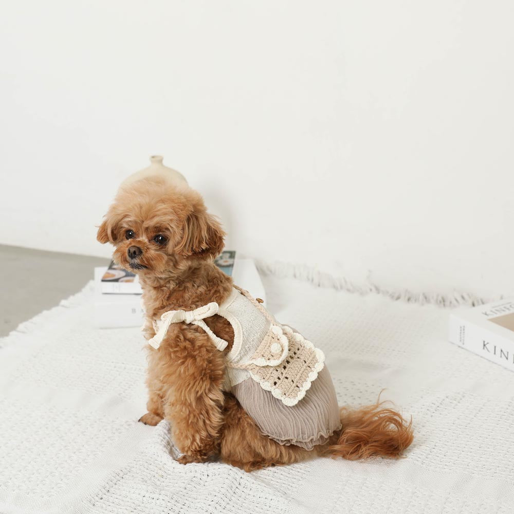 Cool knit sheer tulle dress