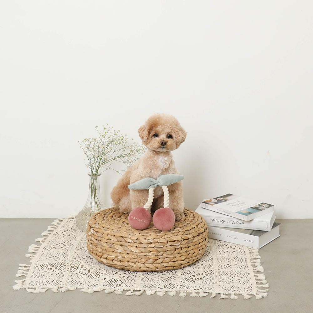 cherry rope plush toy
