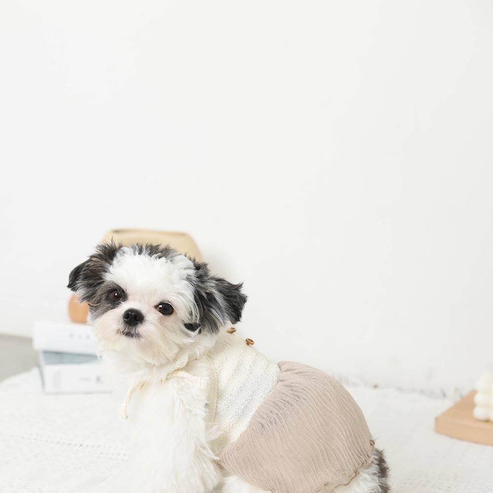 Cool knit sheer tulle dress