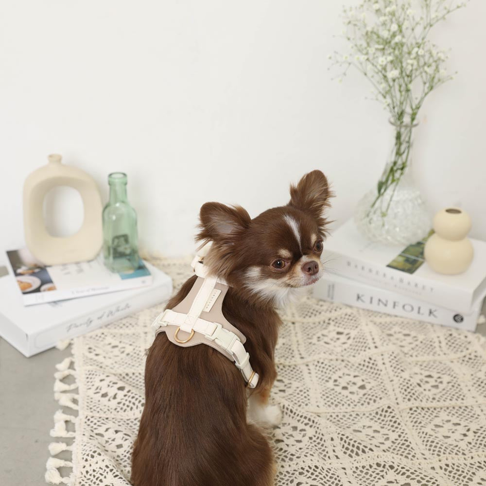 PU leather tape harness + lead SET