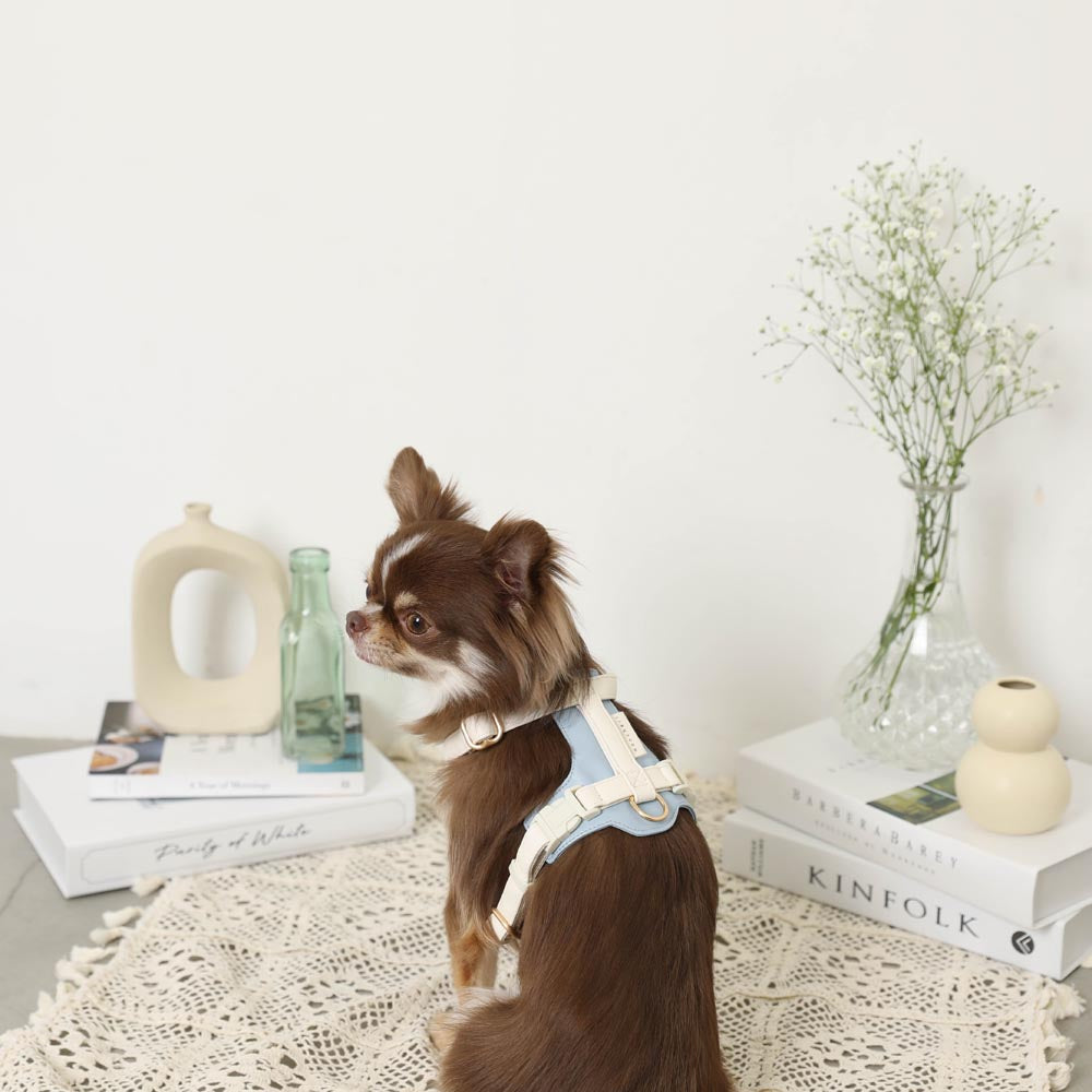 PU leather tape harness + lead SET
