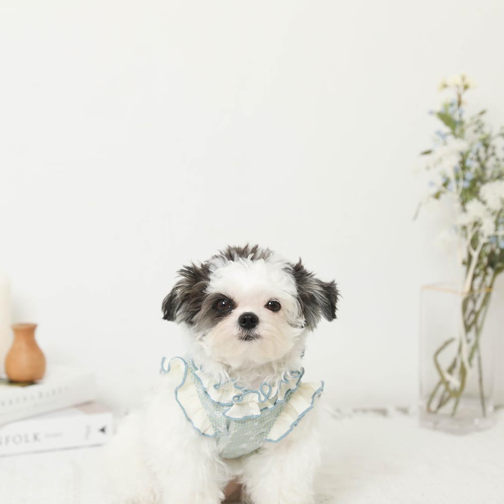 Cool ruffle high neck check embroidery tops