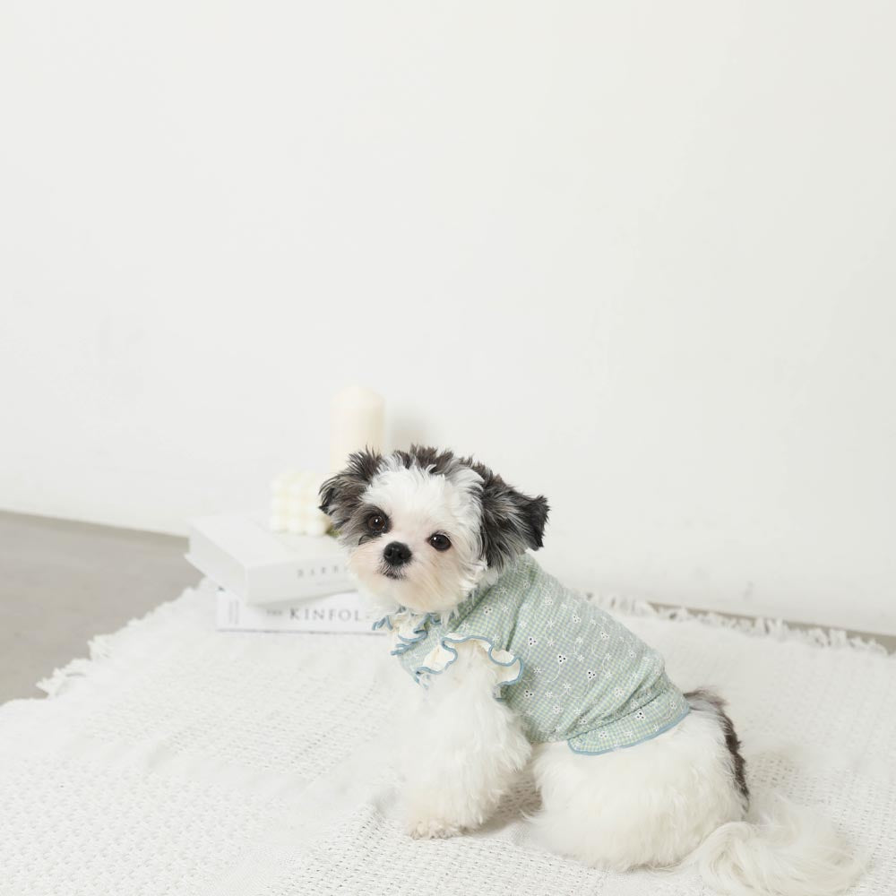 Cool ruffle high neck check embroidery tops