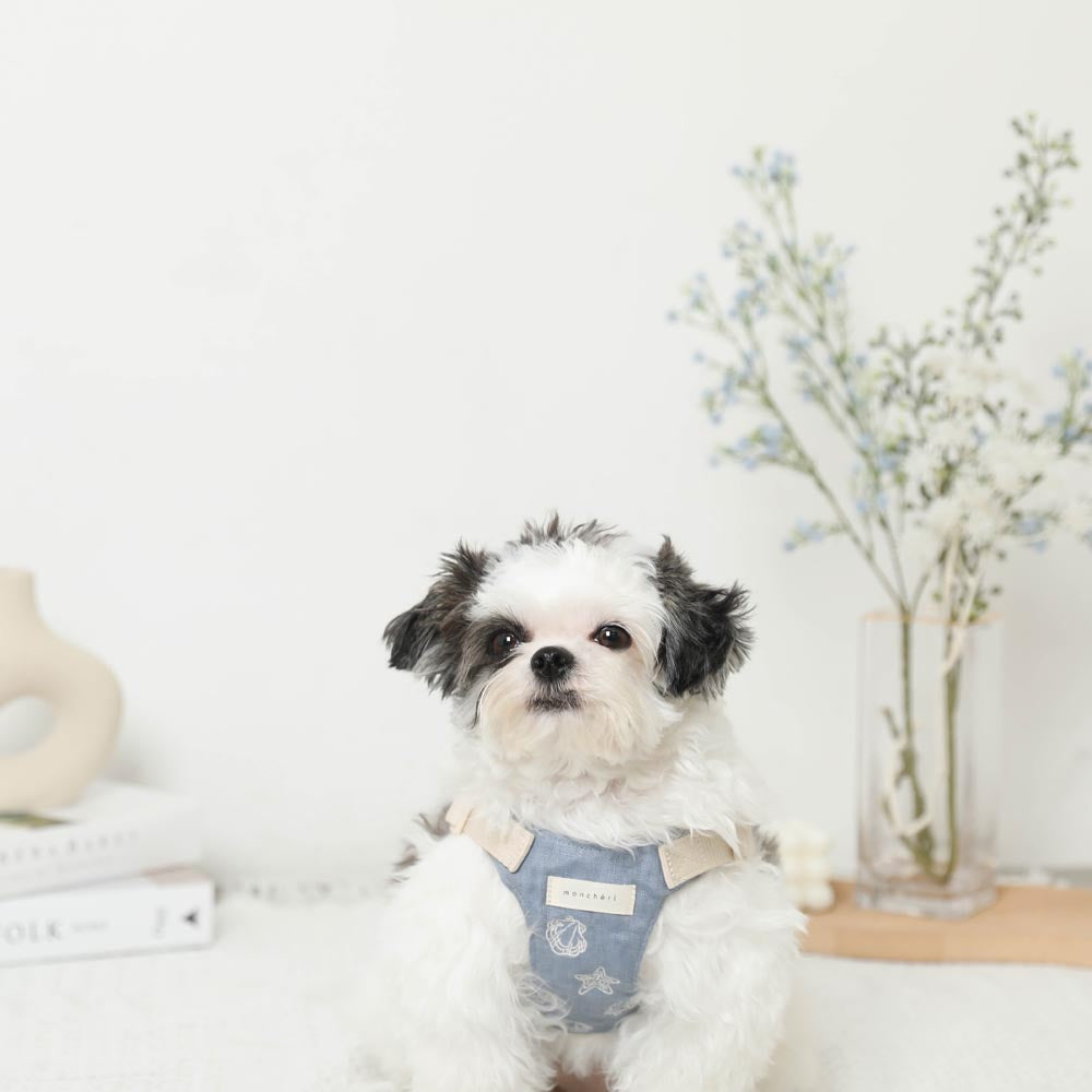 Cool Shell Starfish Pattern Harness + Lead Set [Compatible with name embroidery]