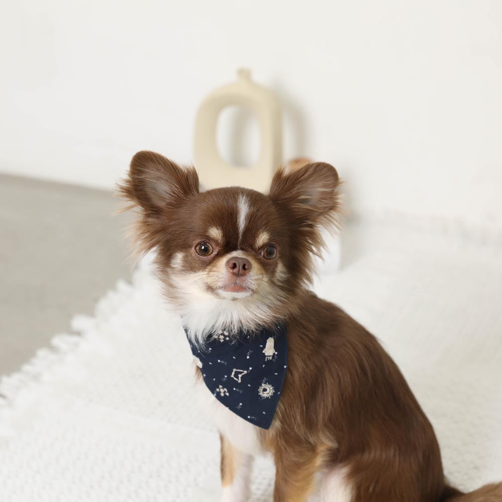 Star pattern embroidery bandana with cold feeling ice pack pocket [Includes ice pack]