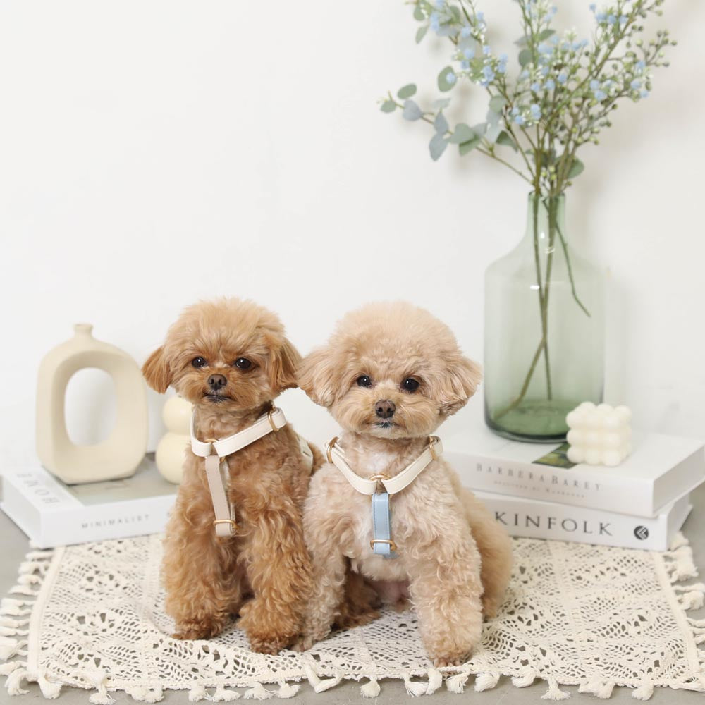 PU leather tape harness + lead SET