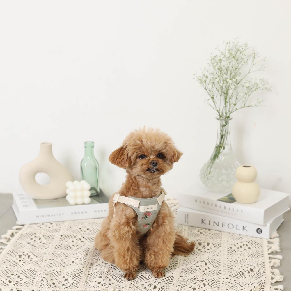 冷感フラワー刺繍ハーネス+リードSET【名入れ刺繍対応】
