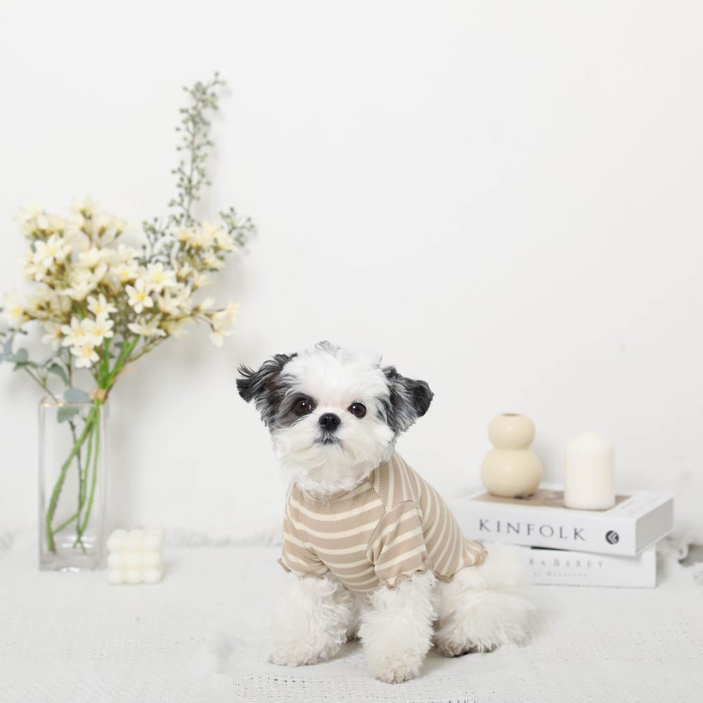 Cool border mellow fruit embroidery tops