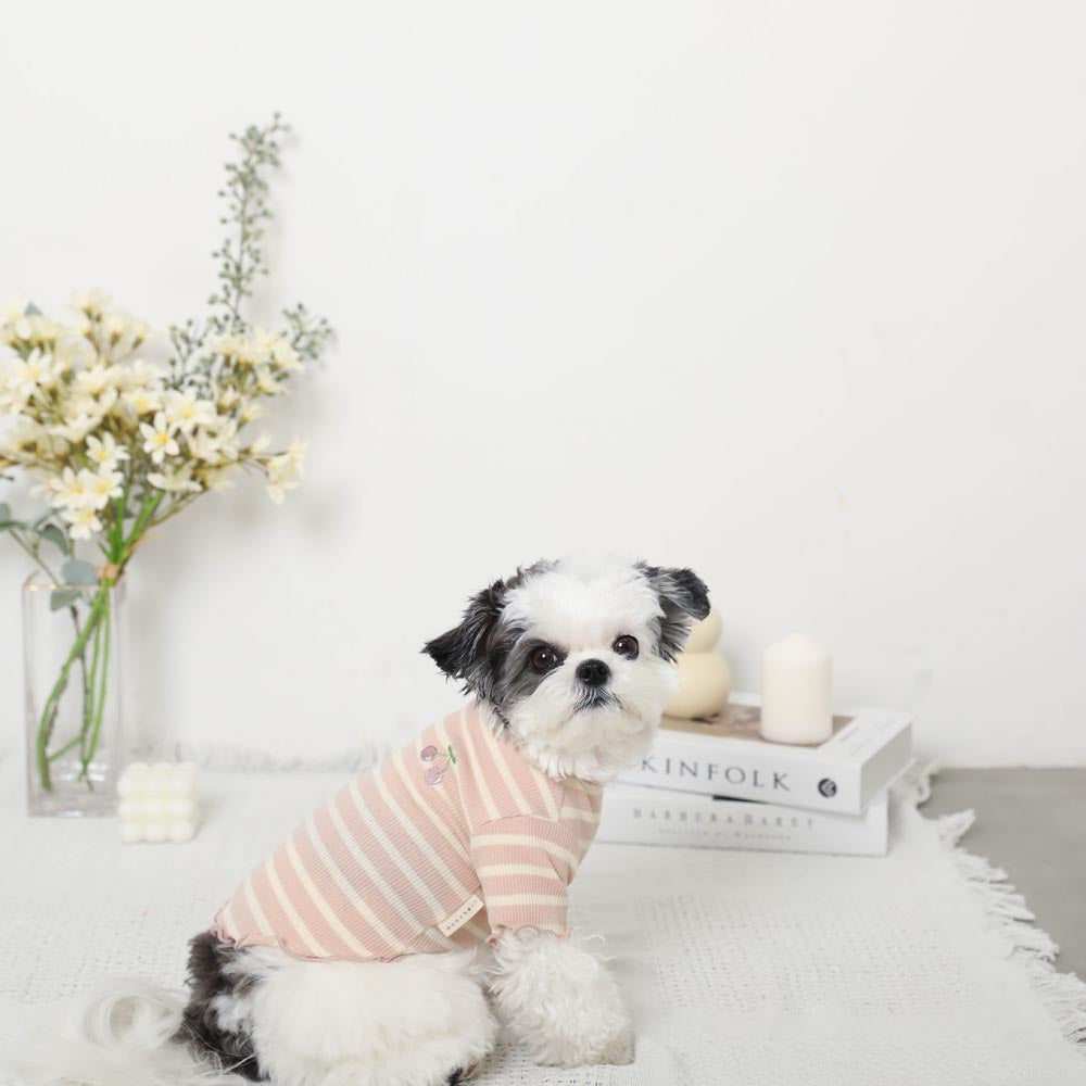 Cool border mellow fruit embroidery tops