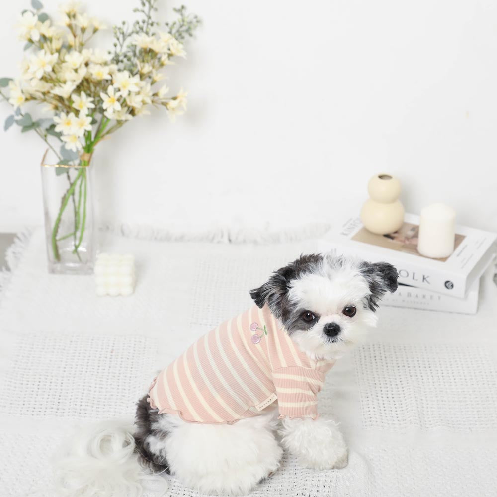 Cool border mellow fruit embroidery tops