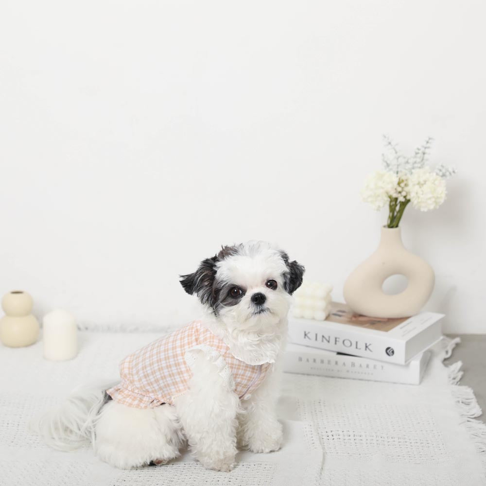 cotton ruffle collar tops