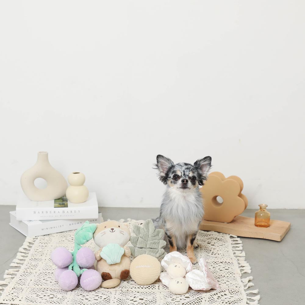 sea otter and seashell toy
