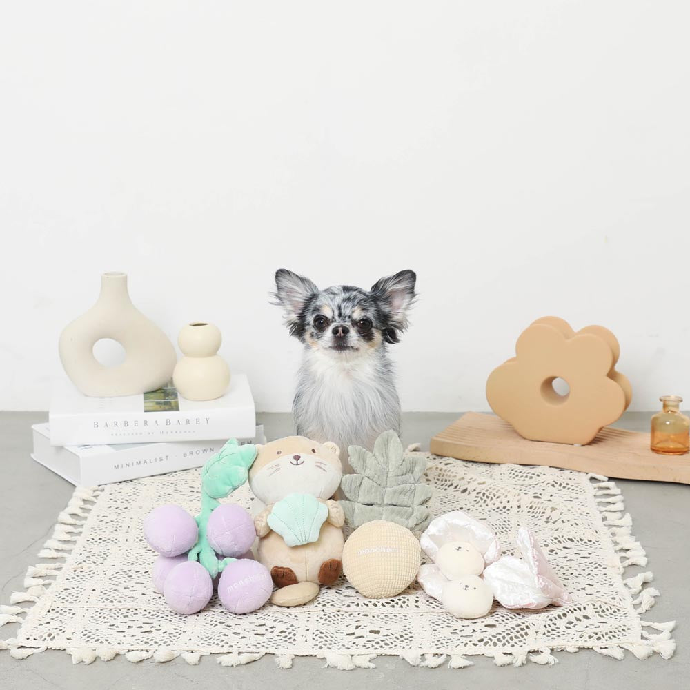 seashell nosework toy