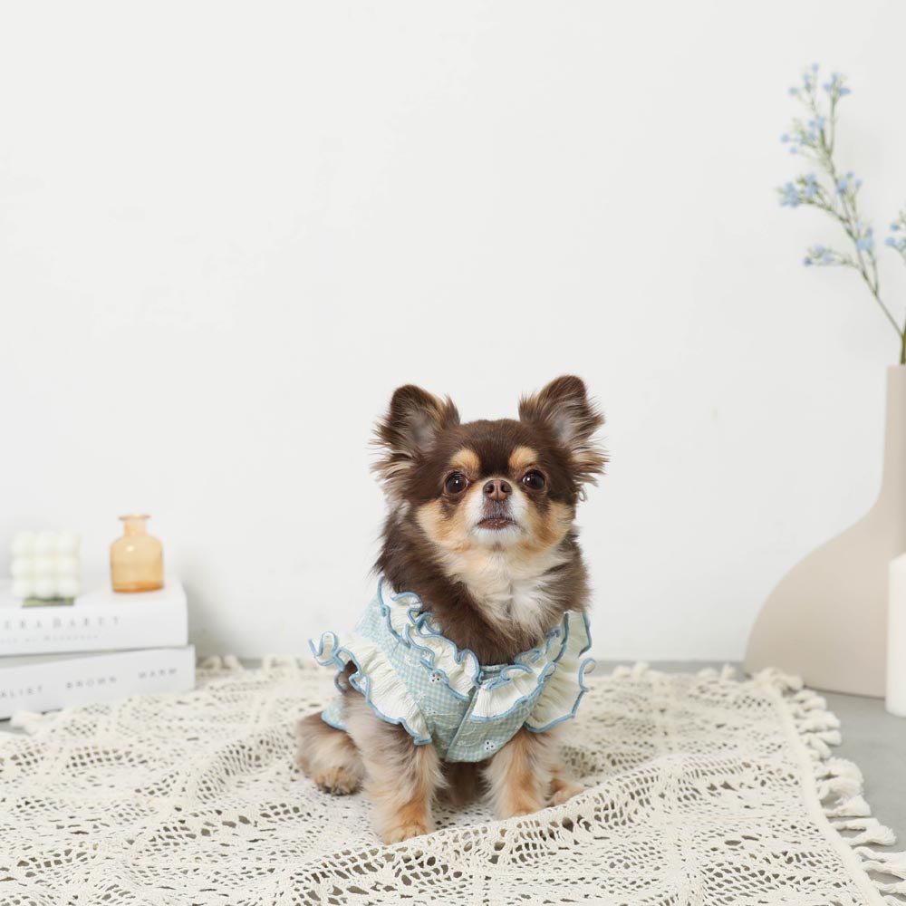 Cool ruffle high neck check embroidery tops