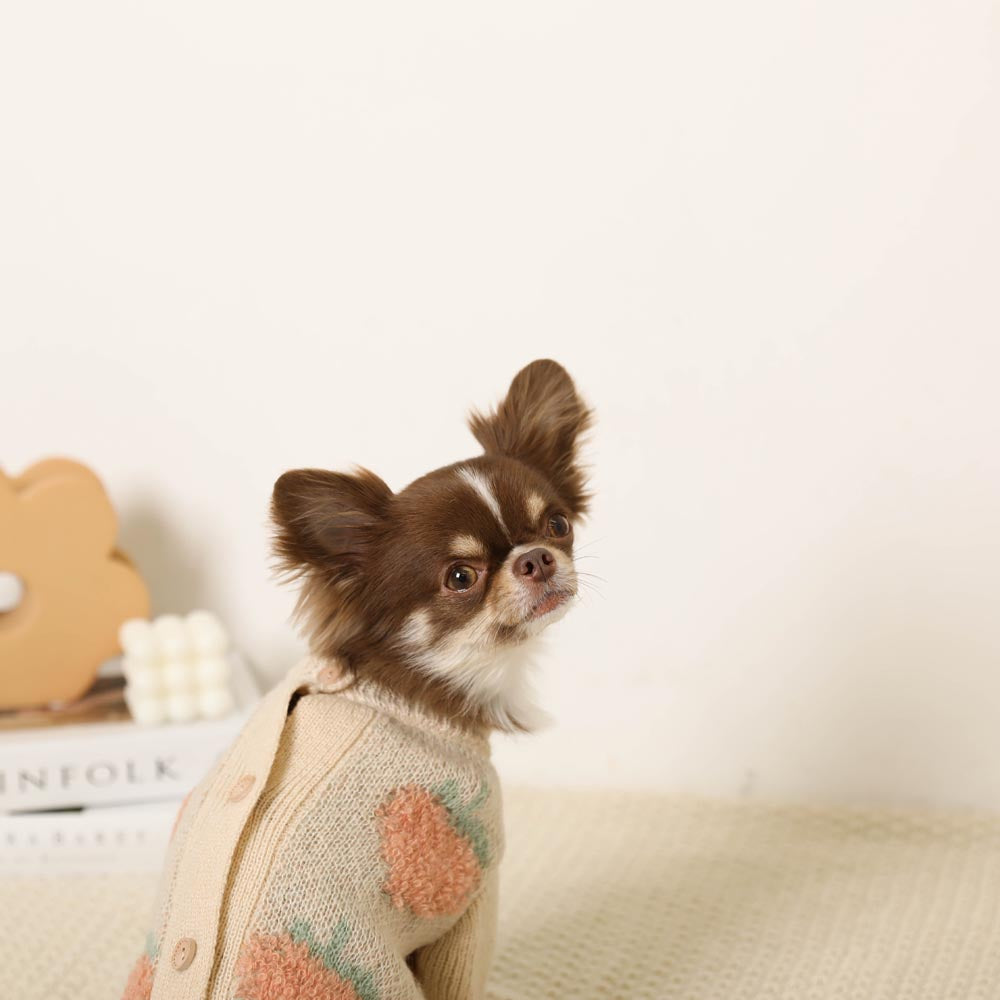 strawberry pattern knit cardigan