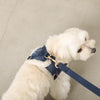Corduroy boa harness + lead set with rocking horse embroidery [Compatible with name embroidery]