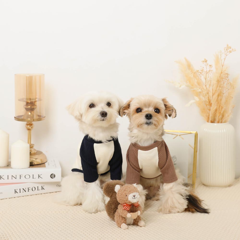 Squirrel gingham check ribbon plush toy