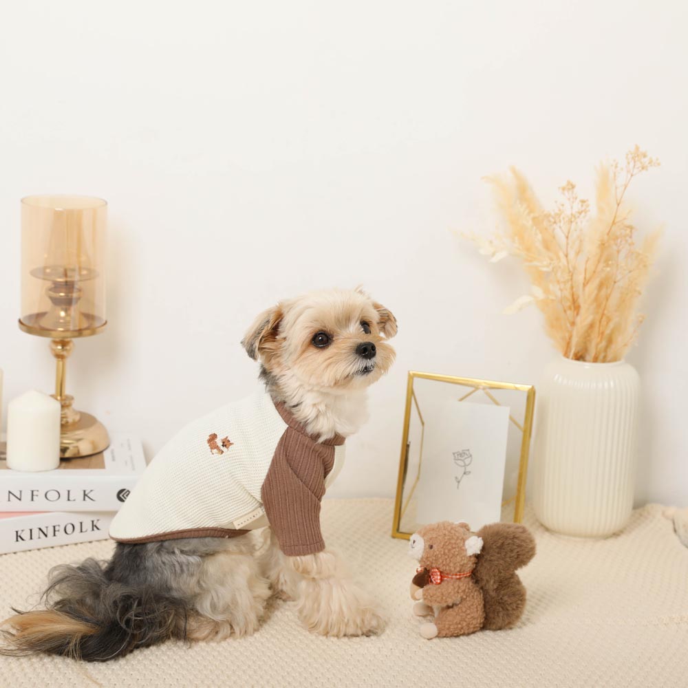 Squirrel gingham check ribbon plush toy