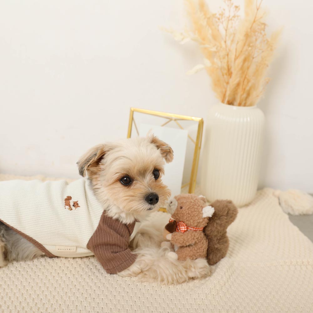 Squirrel gingham check ribbon plush toy