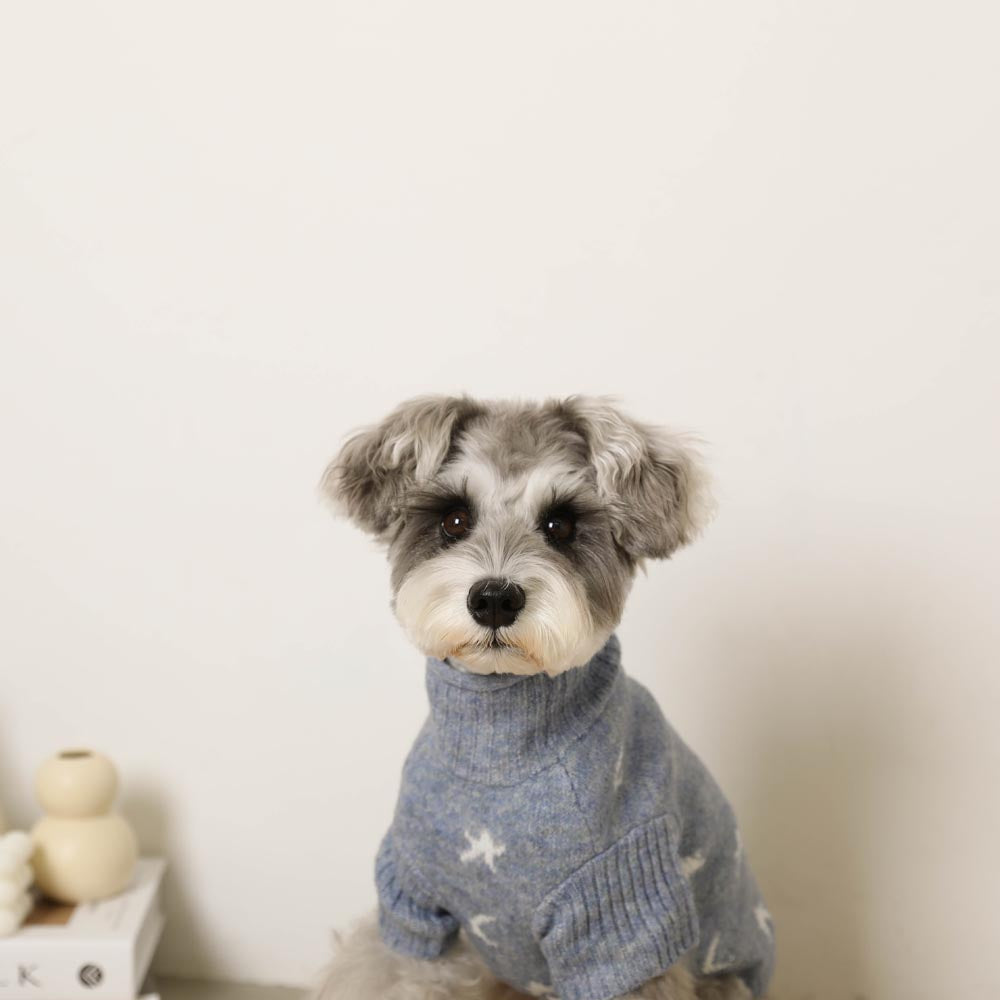 Stars and moon high neck knit