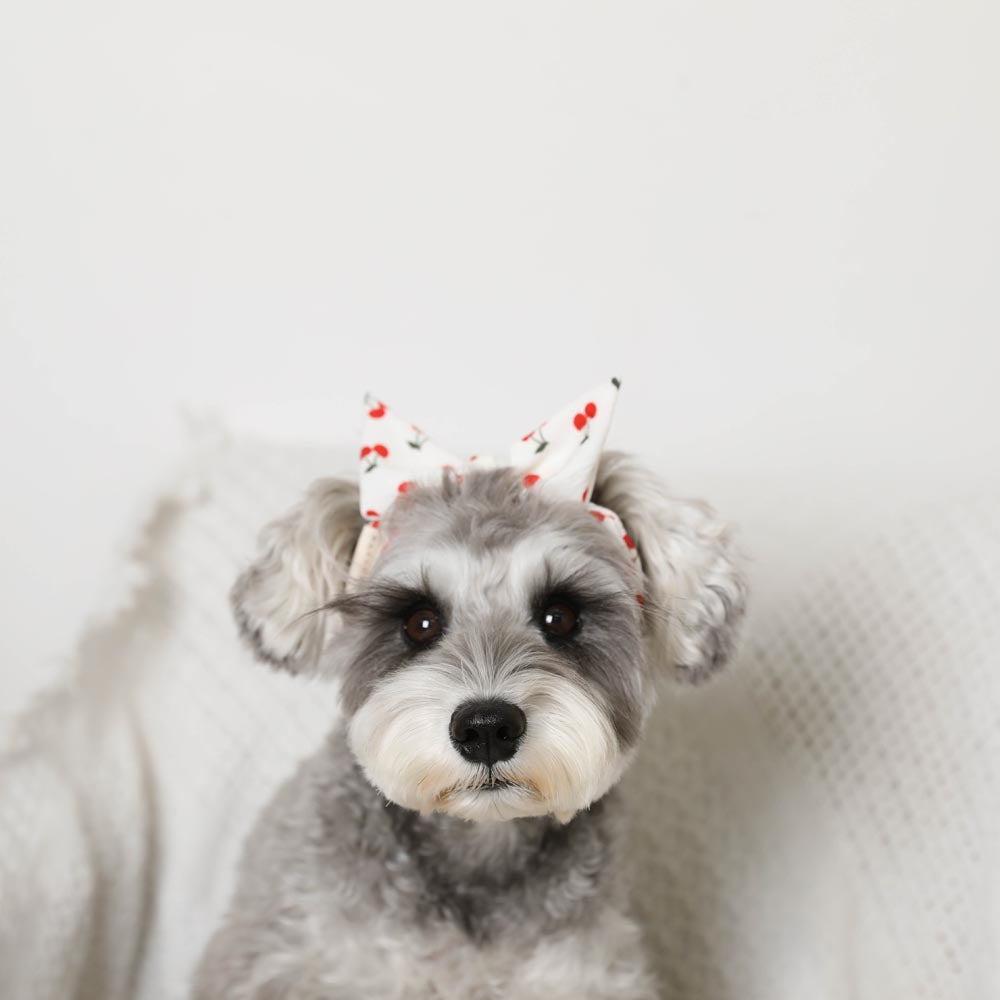 cherry pet hair bandana