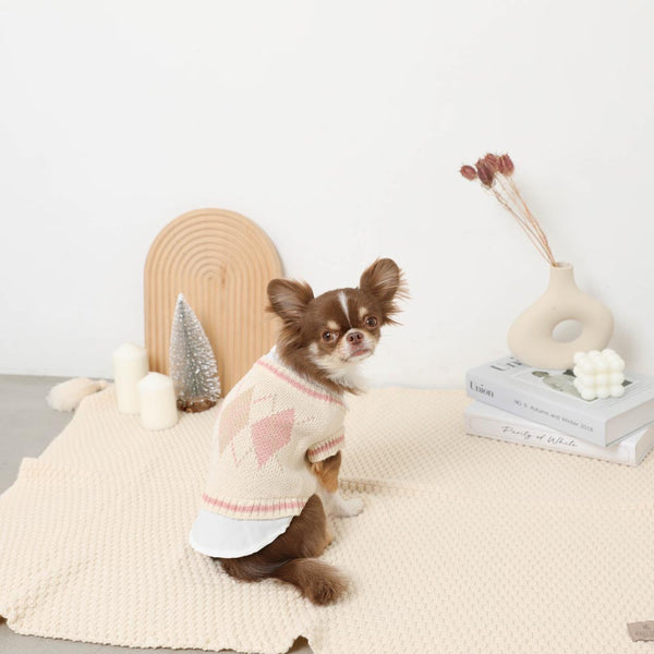 Shirt docking argyle knit vest