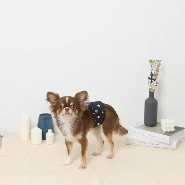 宇宙柄マナーベルト