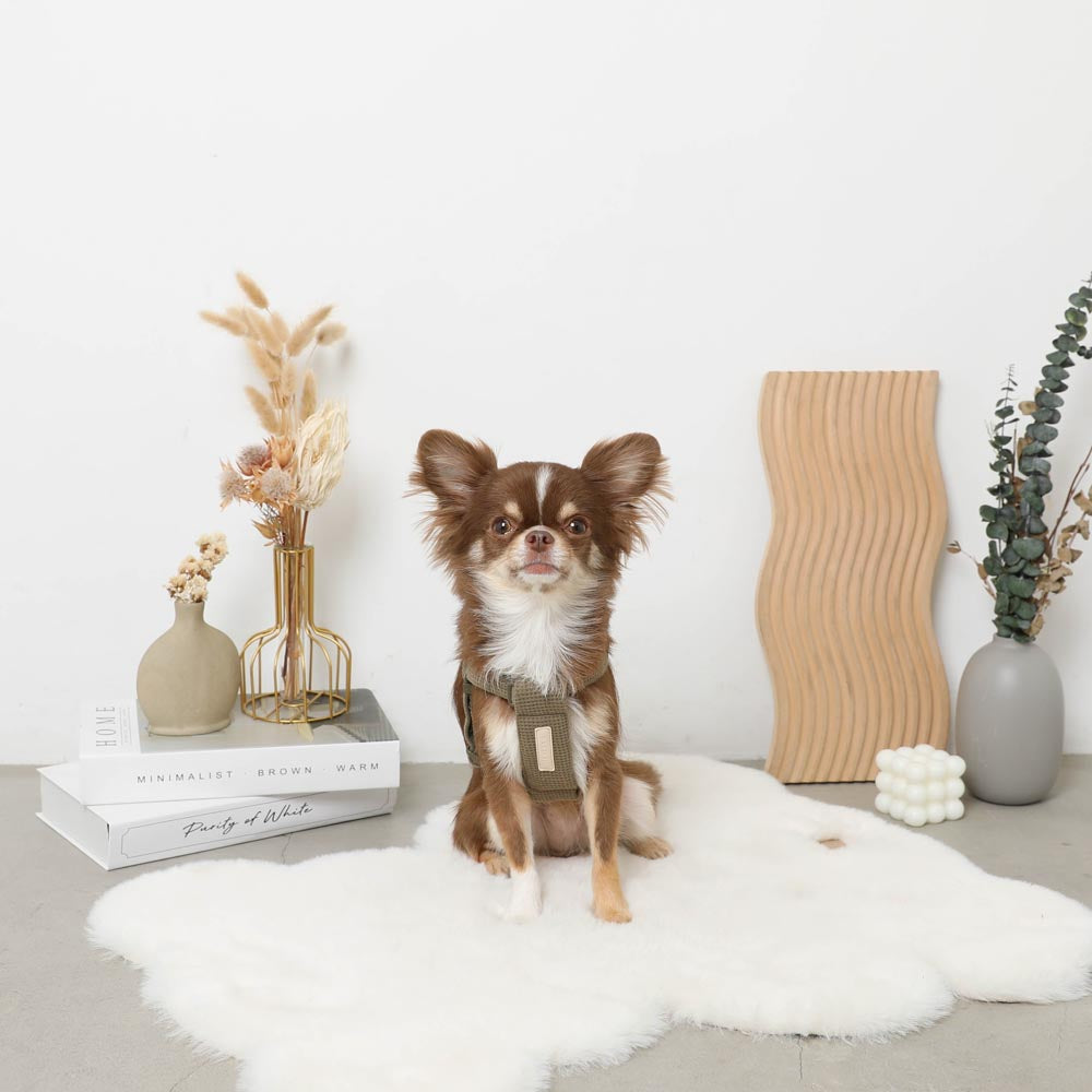 PUレザー×ワッフルハーネス