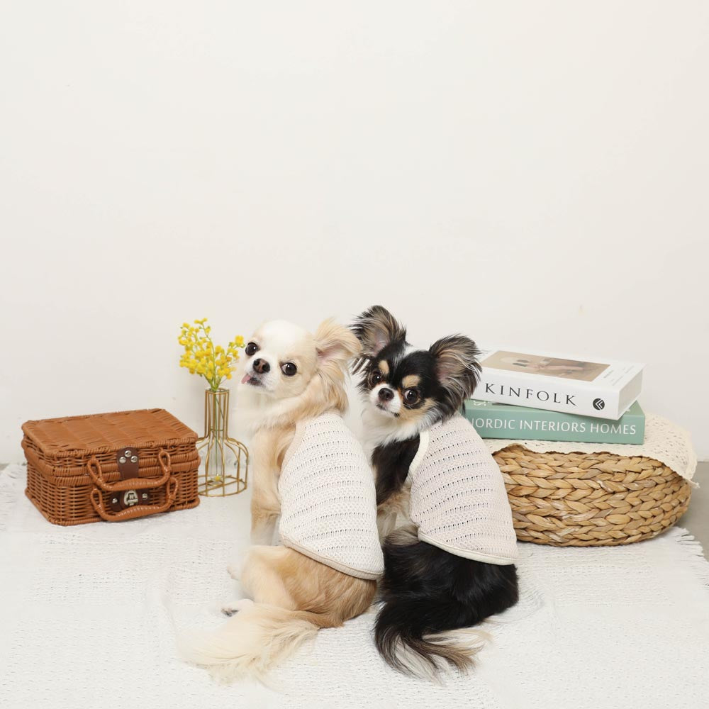 Cool Bear Point Summer Knit Camisole Tops