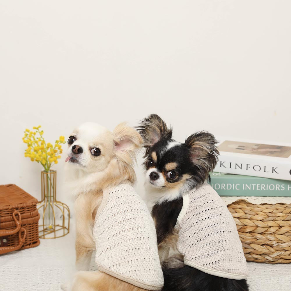 Cool Bear Point Summer Knit Camisole Tops