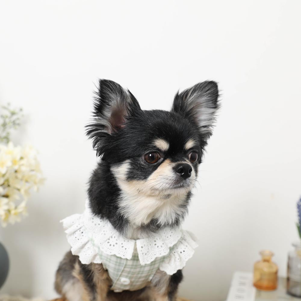 cotton ruffle collar tops