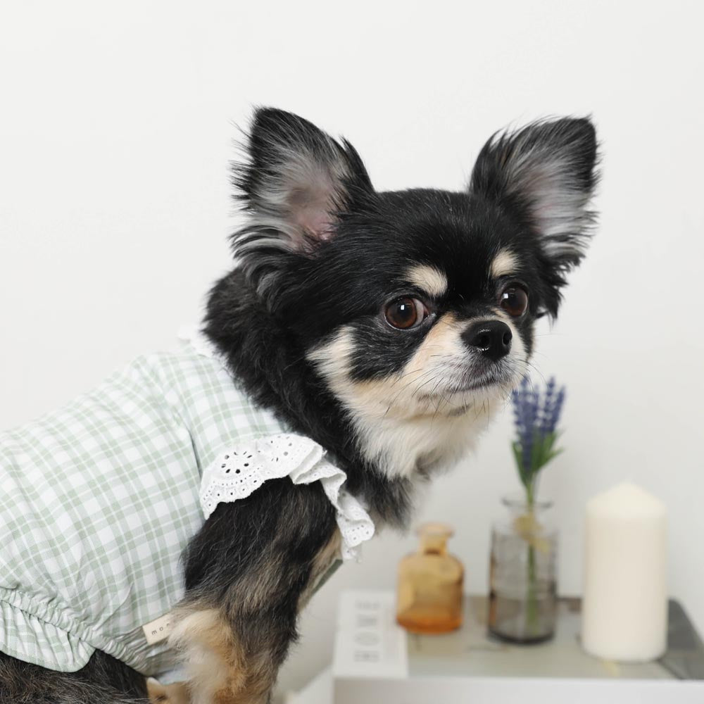 cotton ruffle collar tops