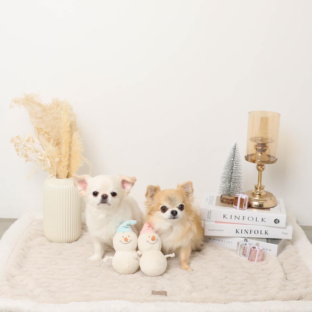 Dental Rope Mini Snowman Plush Set