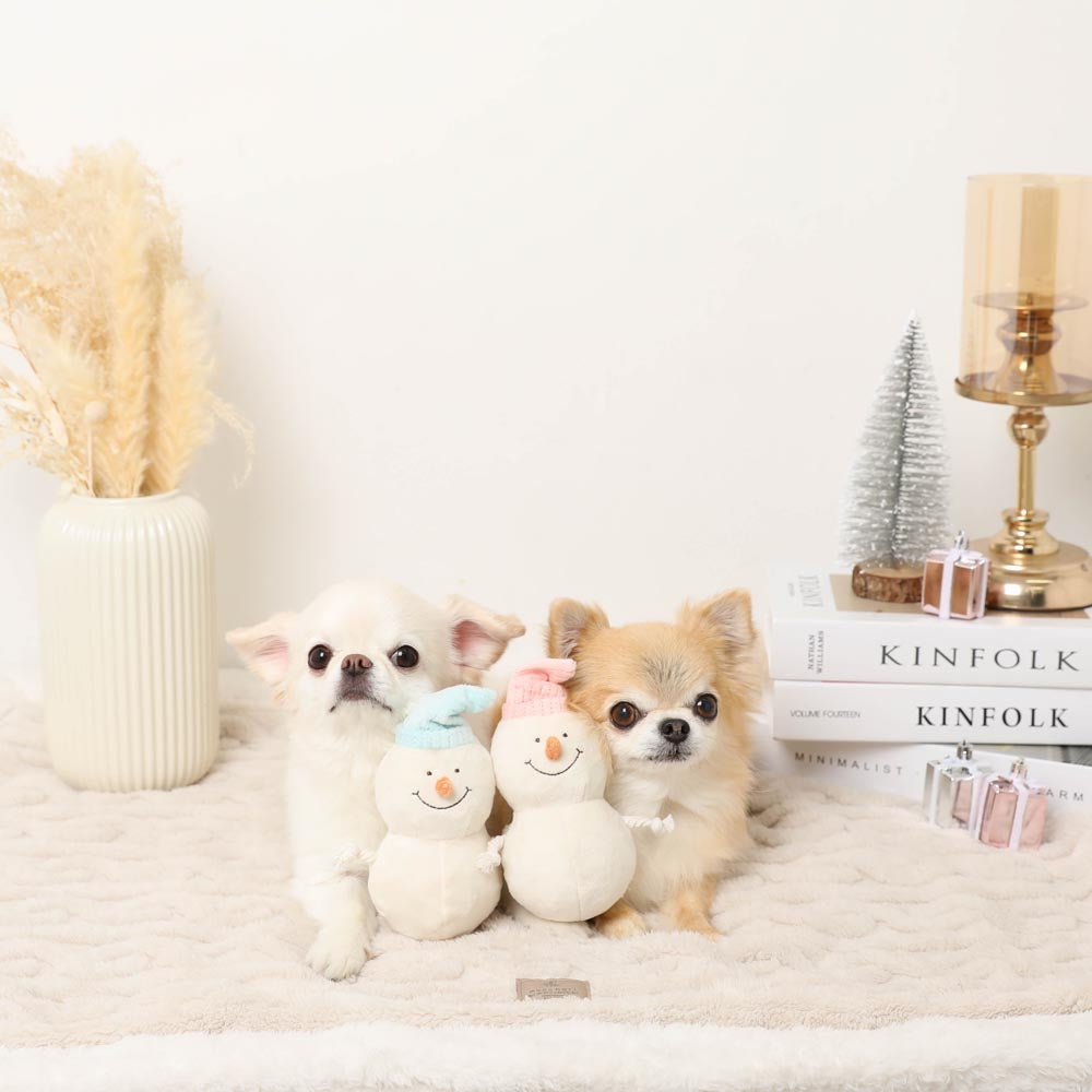 Dental Rope Mini Snowman Plush Set