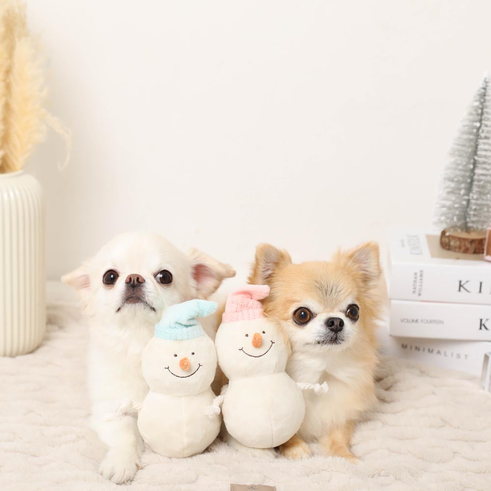 Dental Rope Mini Snowman Plush Set