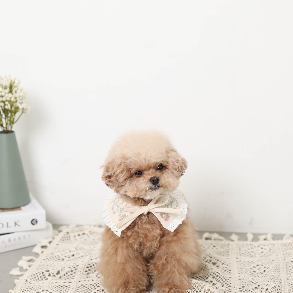 髭*犬様 mame kurogouchi 百合刺繍 ジョーゼットブラウス トップ フラワー刺繍フリルつけ襟【名入れ刺繍対応】