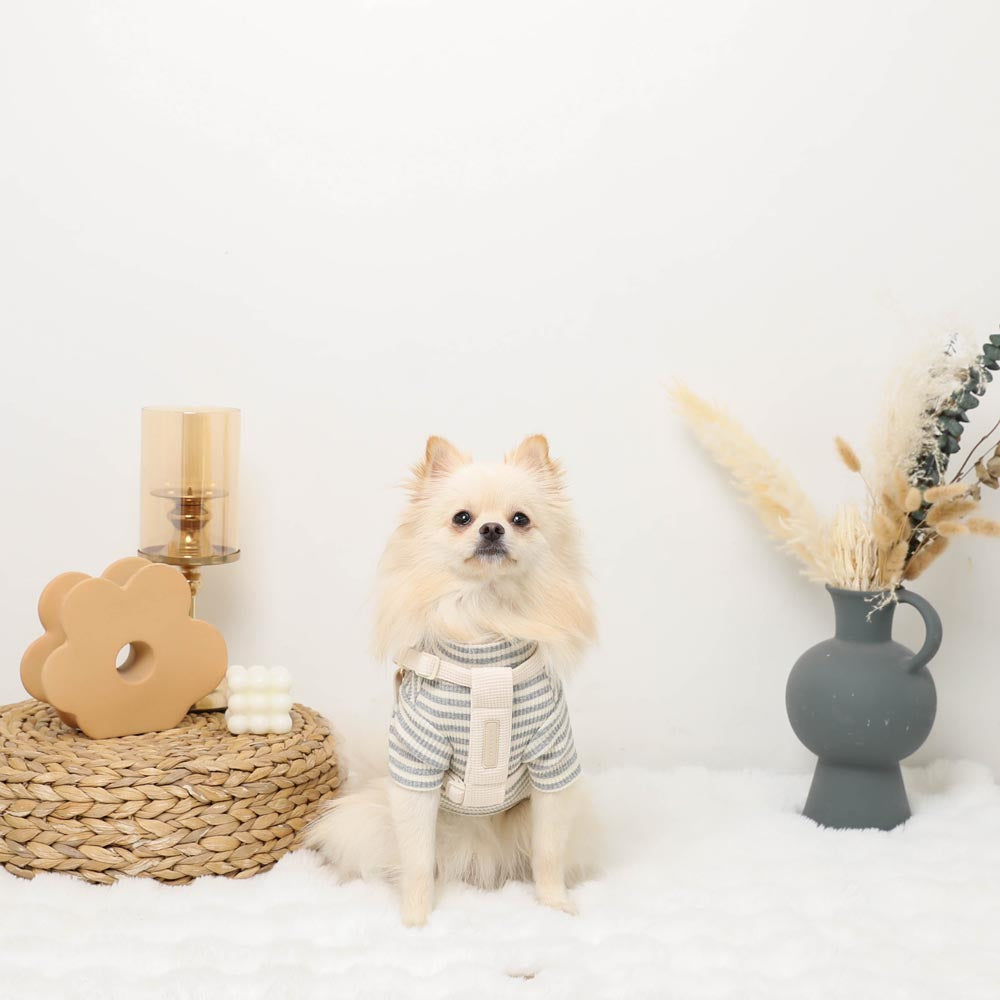 PUレザー×ワッフルハーネス