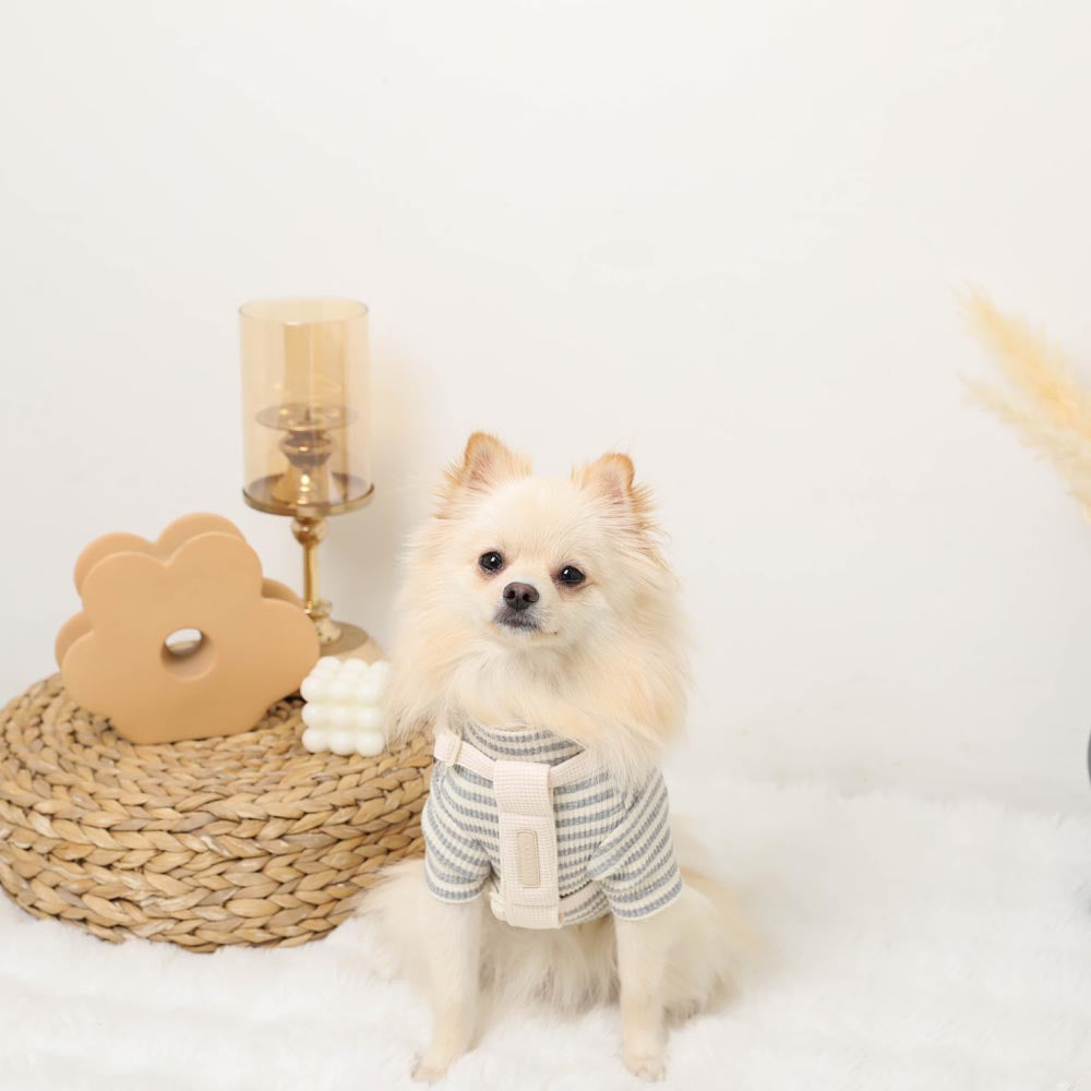 PUレザー×ワッフルハーネス