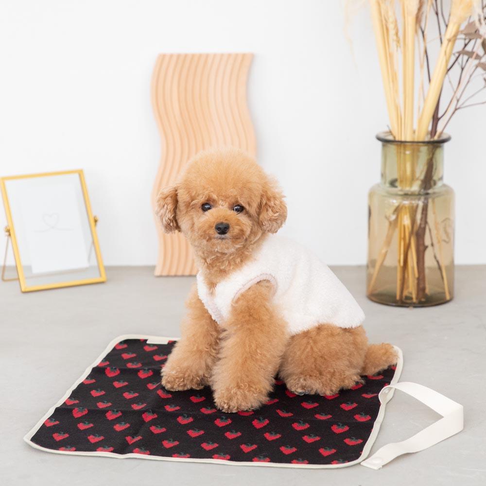 Strawberry cafe mat [Compatible with name embroidery]
