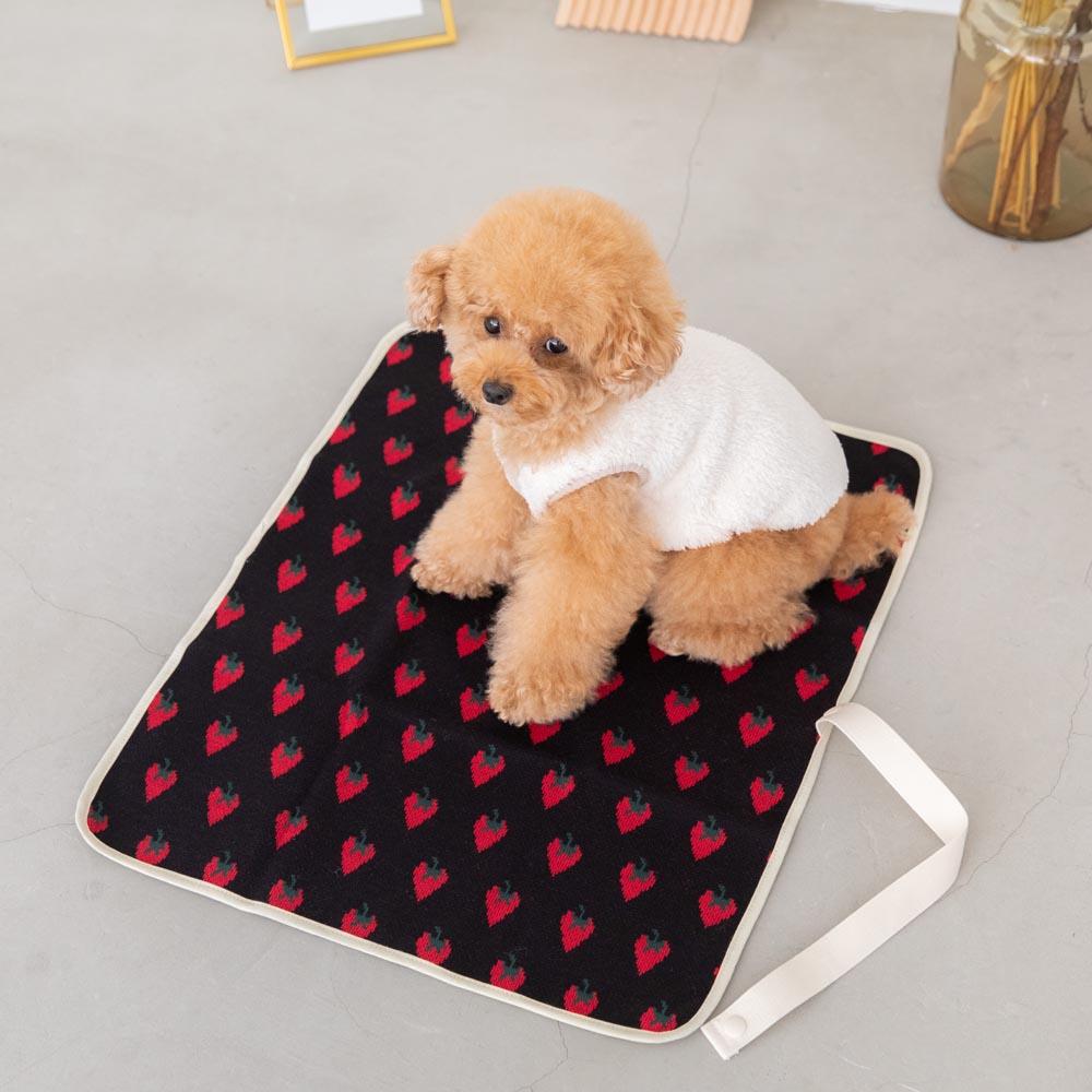 Strawberry cafe mat [Compatible with name embroidery]