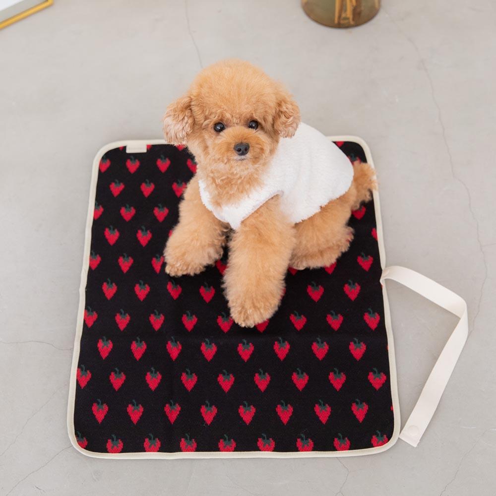 Strawberry cafe mat [Compatible with name embroidery]